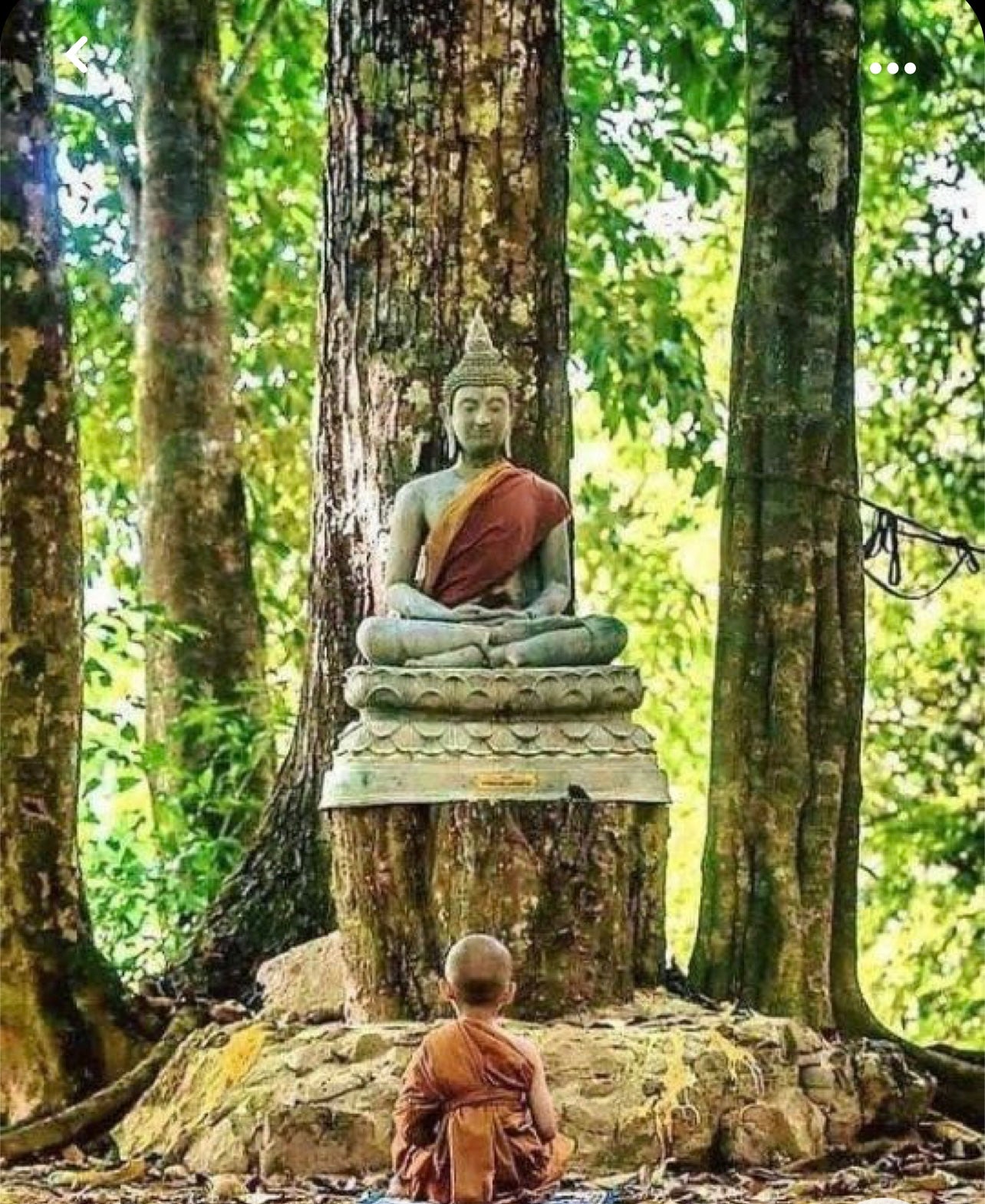 空間浄化用 香 スティック型