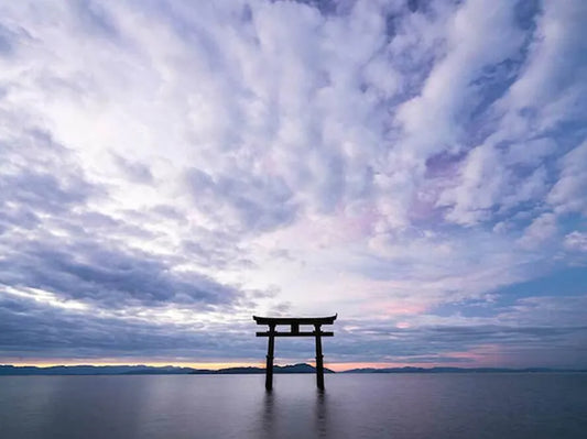 空間浄化用 塩